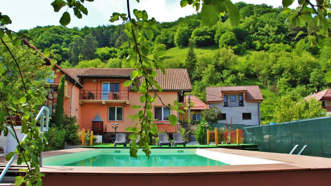 Pensiunea Sighisoara Exterior photo